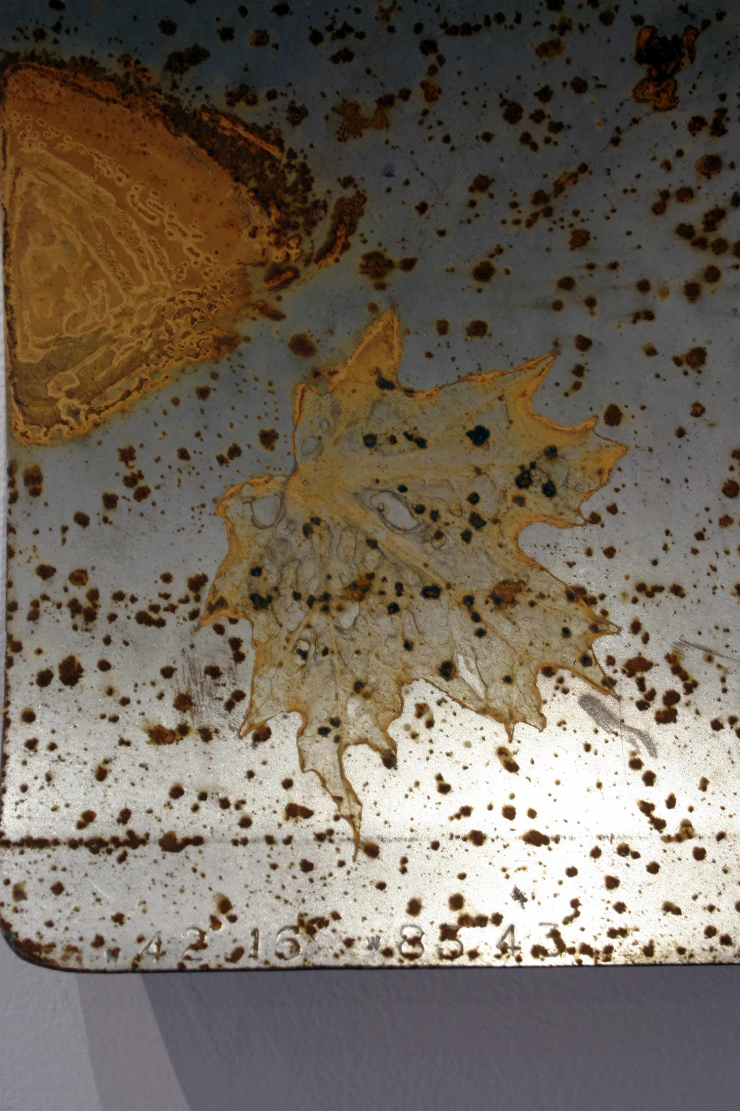 t&pc-detail2.jpg
