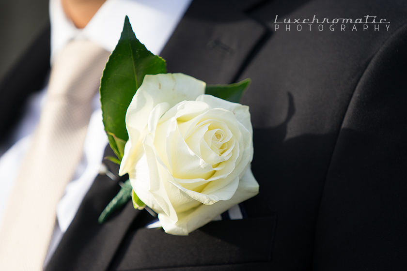 Michelle_Rudi-1548_luxchromatic-san-francisco-bay-area-california-wedding-photography-bride-groom-style-me-pretty-green-wedding-shoes-inspiration-engaged-marriage-bridesmaids-gown-dress-the-knot-golden-gate-bridge-portrero-hill-skyline.jpg