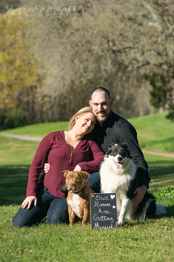 Luxchromatic_Engagement_Wedding_Photography_San_Francisco_Bay_Area_Dogs_Rachel_Chris-1004 copy.jpg