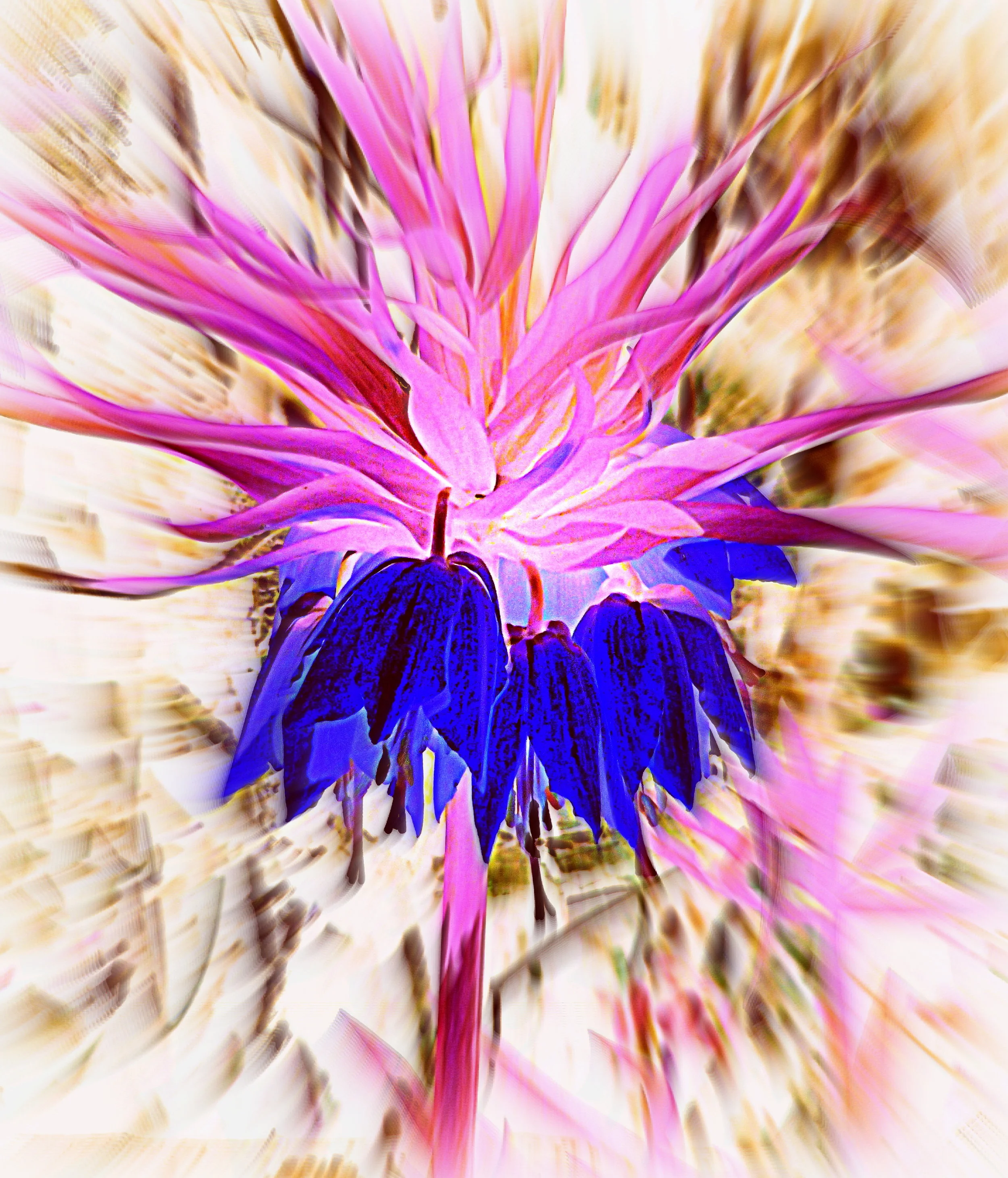  Third variation, reverse coloration, background de-focused, of a yellow bell-shaped flower at an abandoned home. 