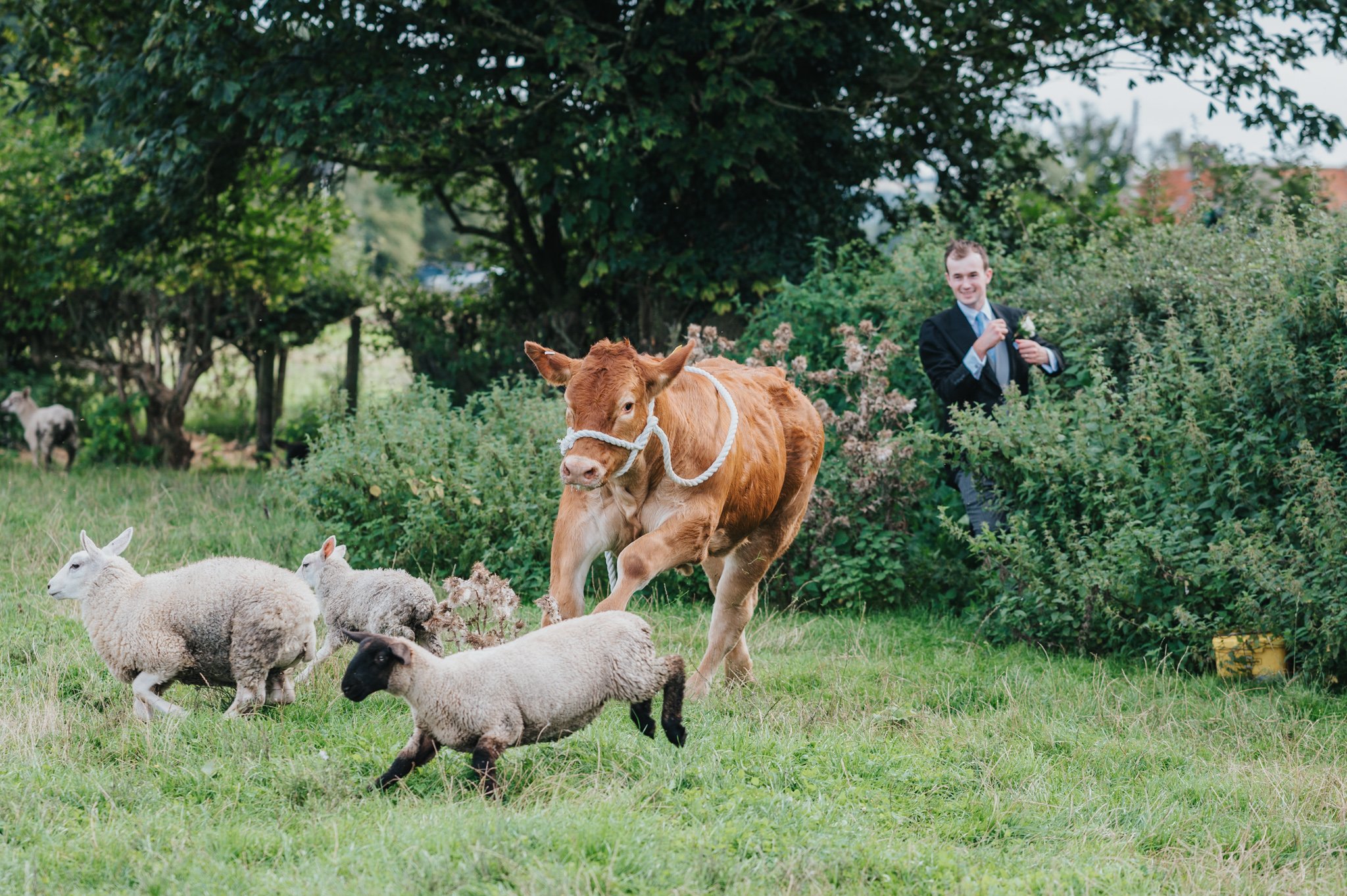 Maisie & Frank-087.jpg