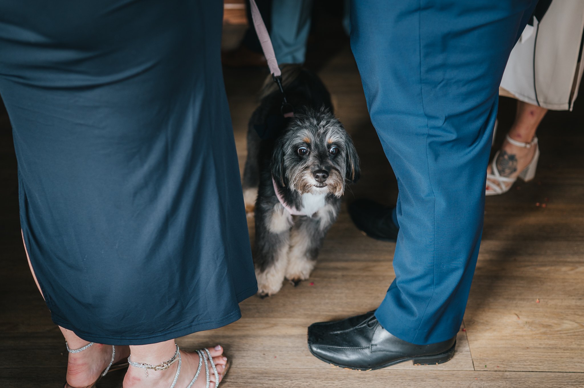 Sophie & Tom Wedding-101.jpg