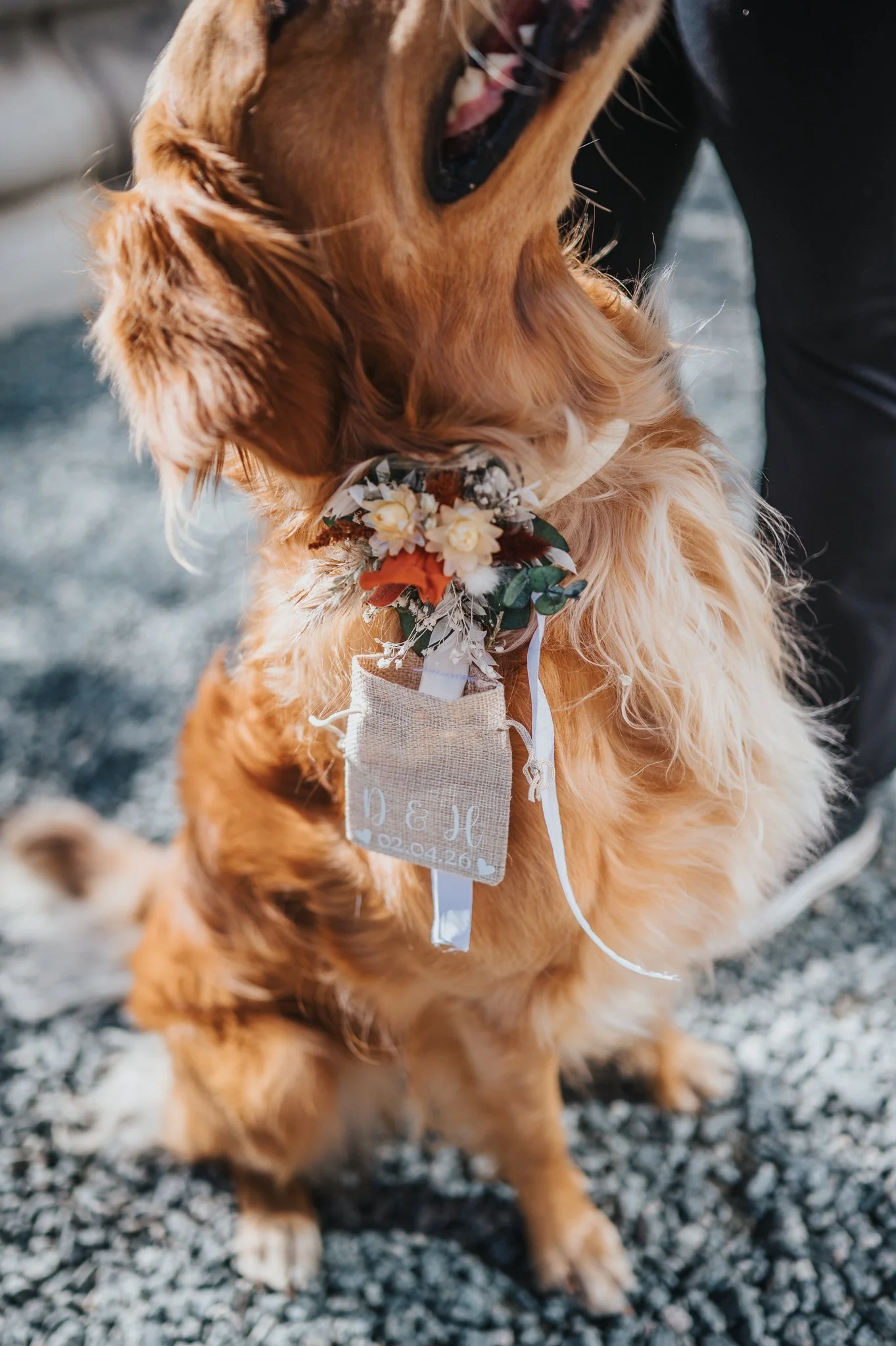 Hannah & Danny Wedding-048.jpg