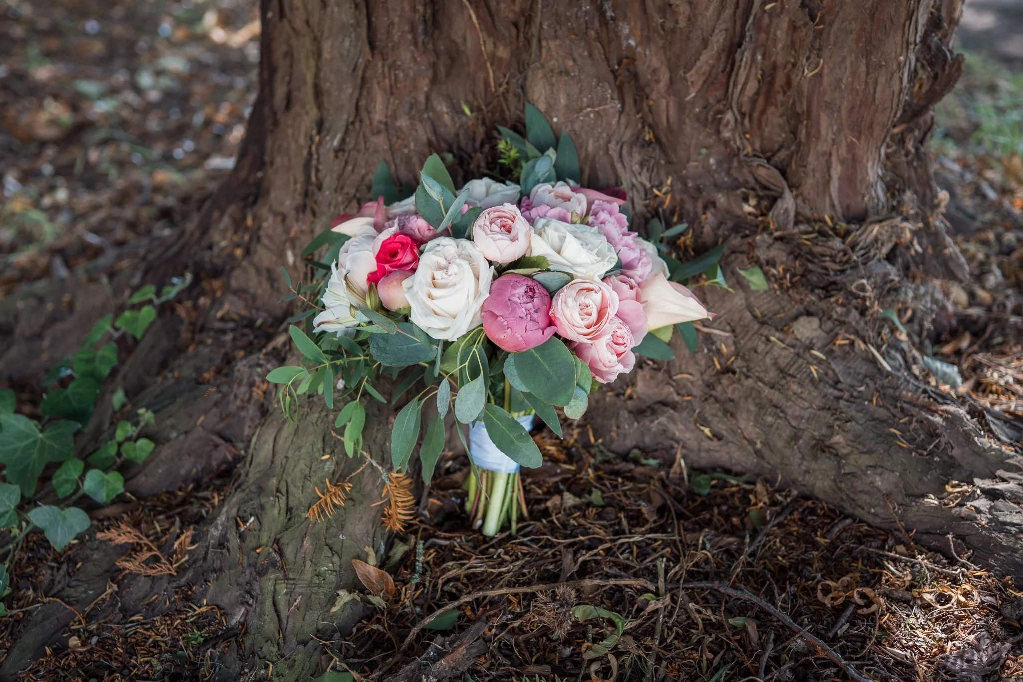 Nikki & Luke-823.jpg