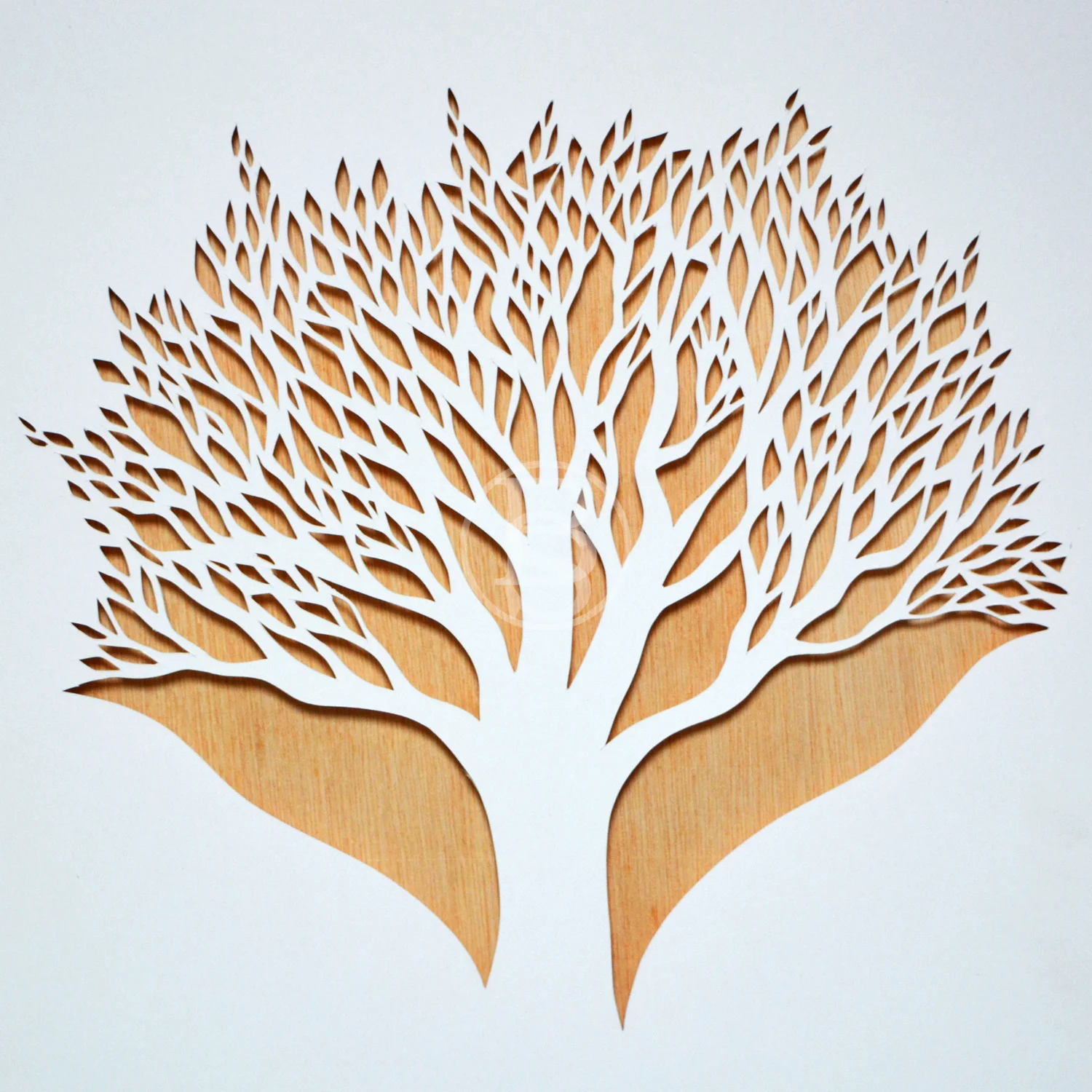 Fréamhacha - 2015 - 30cm x 30cm ( White )