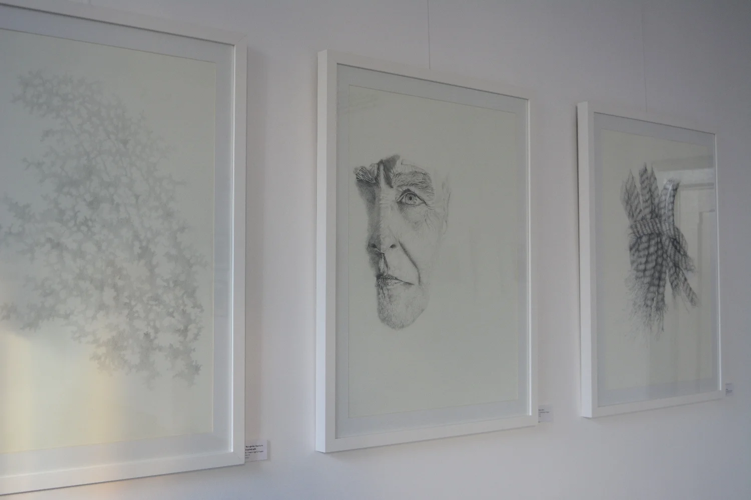 The Tutors Exhibition.jpg