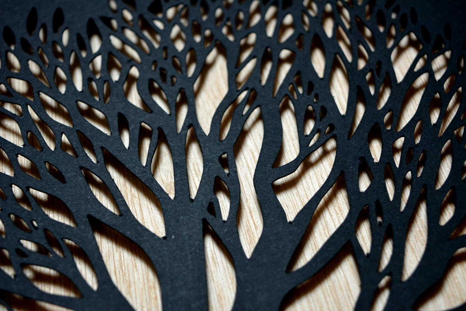 Cut Paper.jpg