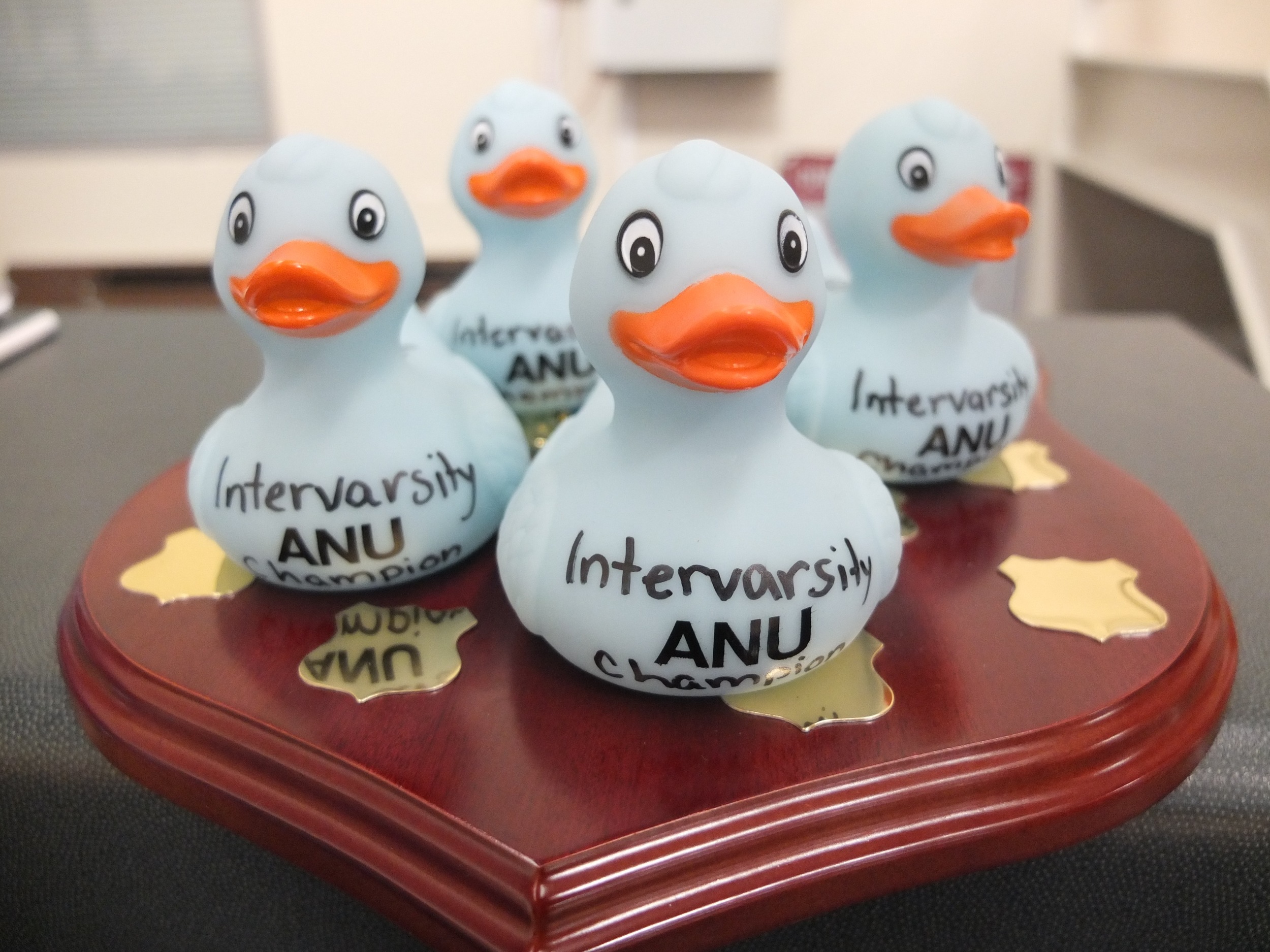 These rubber duckies are so cute
