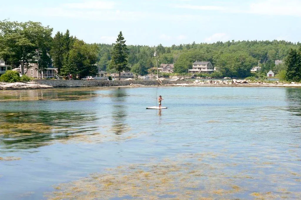 The protected cove on the side of the house is perfect for swimming or kayaking.