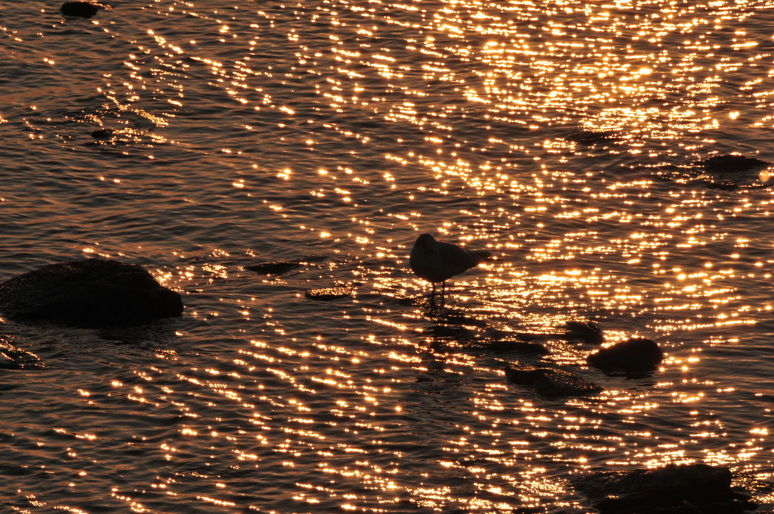 Praxisjubiläum – 10 Jahre im Dienste des guten Sehens