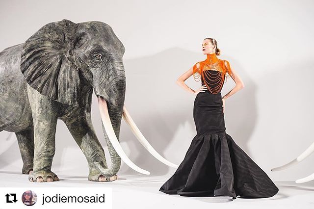 Loved shooting the beautiful @nicholasoakwellcouture AW16 collection this evening. Stunning production by @jodiemosaid #eventprofs #fashion #fashionshow #nicholasoakwell #eventphotography