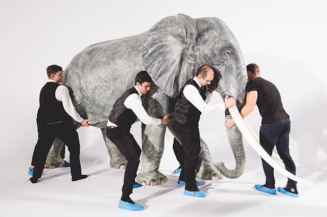 Not the sort of thing you see everyday. Life-size, Tarzan-inspired elephants at Nicholas Oakwell Couture AW16. See more photo highlights from the show at suziejay.com

#eventprofs #events #eventphotography #IGLondon #London #claridges #nicholasoakwel