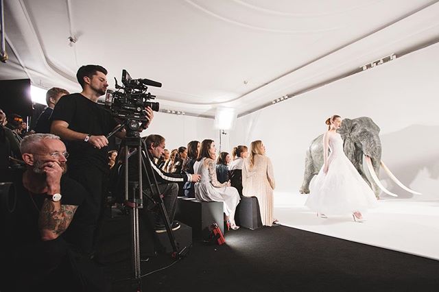 Showtime! Nicholas Oakwell Couture AW16 in The Ballroom at Claridges. See more photo highlights at suziejay.com

#eventprofs #events #eventphotography #IGLondon #London #claridges #nicholasoakwell #fashion #fashionshow #FOH #catwalk