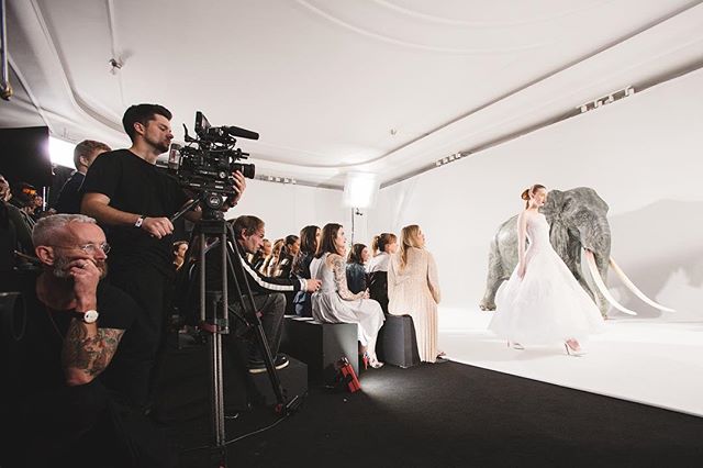 Showtime! Nicholas Oakwell Couture AW16 in The Ballroom at Claridges. See more photo highlights at suziejay.com
#eventprofs #events #eventphotography #IGLondon #London #claridges #nicholasoakwell #fashion #fashionshow #FOH #catwalk