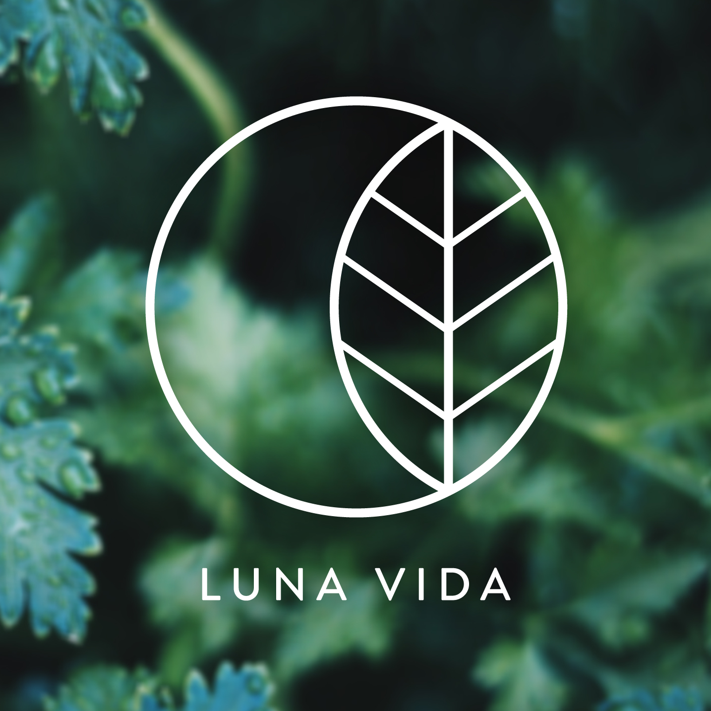 LUNA VIDA LOGO_2.jpg