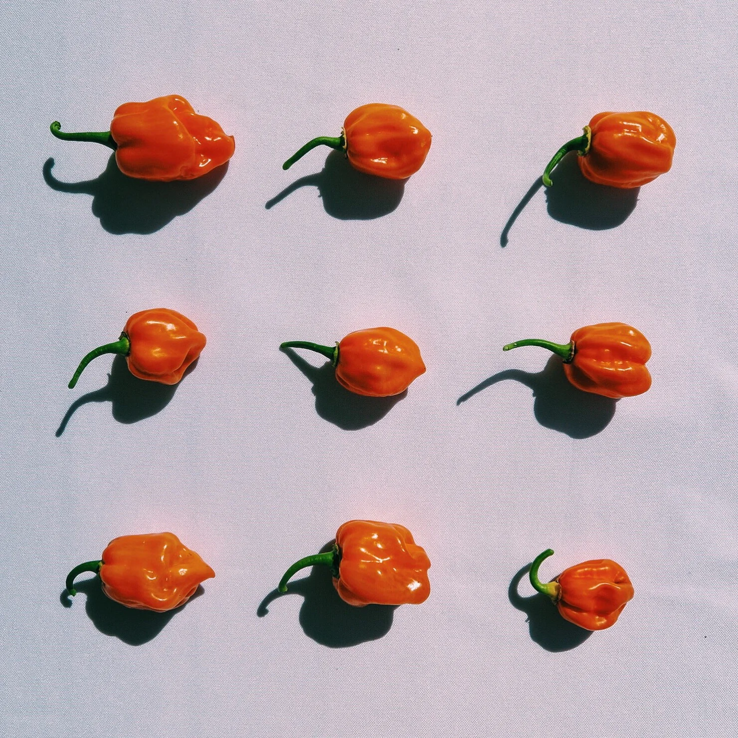 2016-03-11 03.40.44-1.jpg