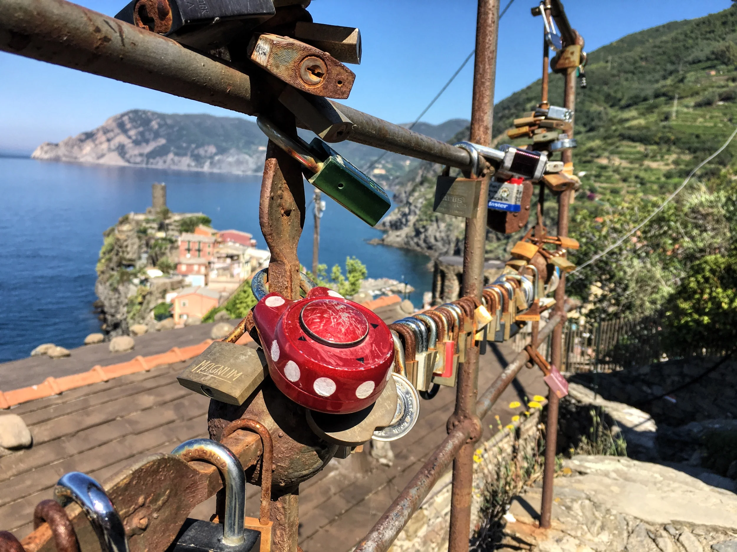 2016-06-23 10.04.55-1.jpg