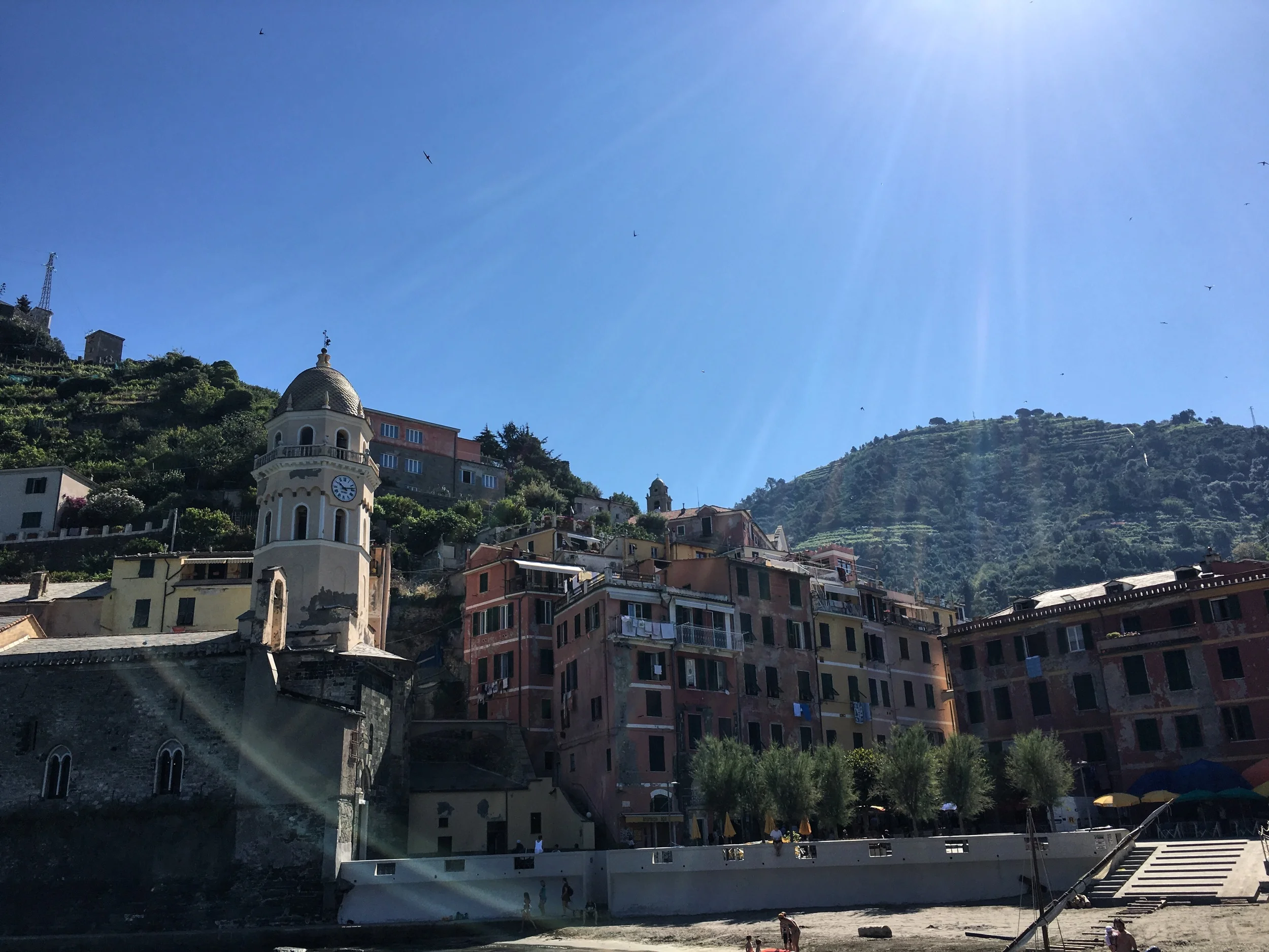 2016-06-23 10.14.43-1.jpg