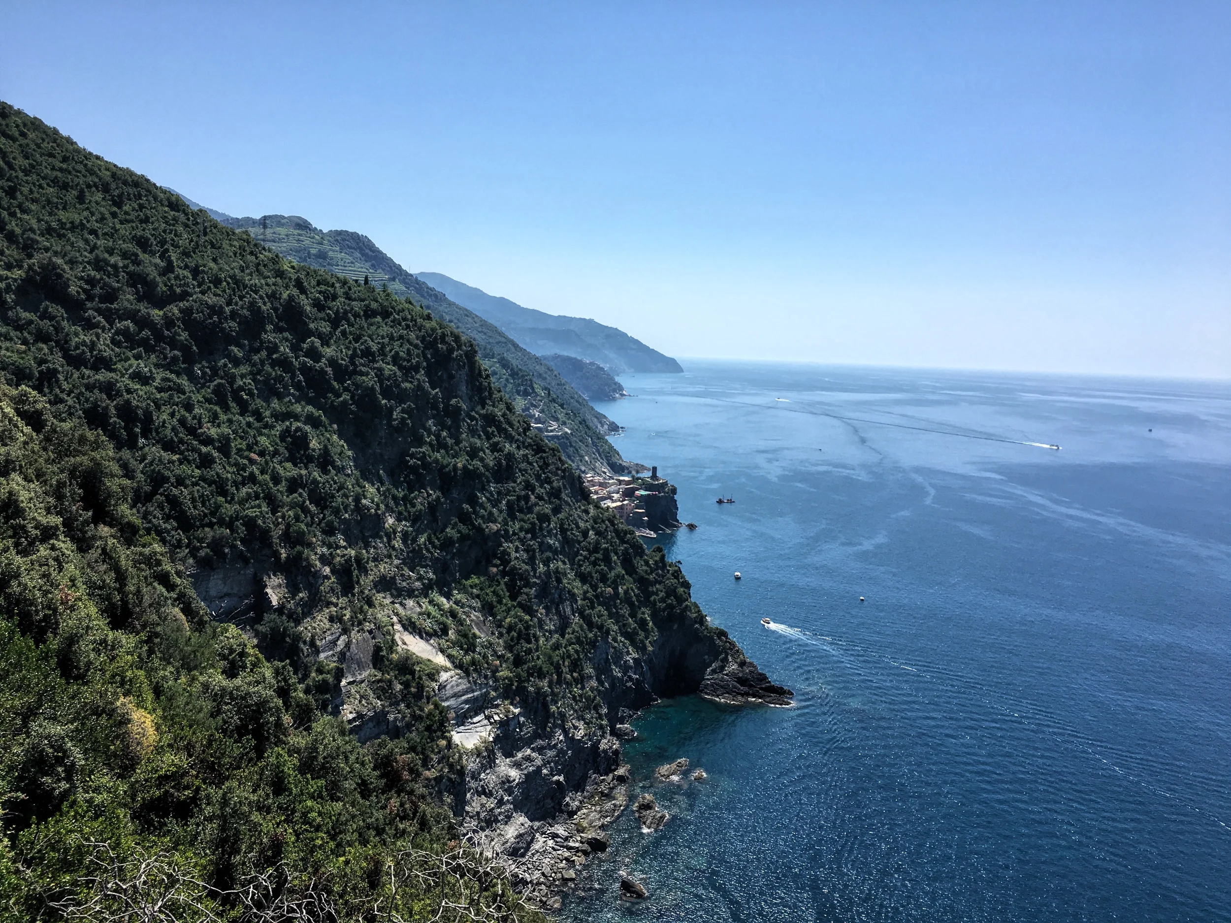 2016-06-23 11.56.51-1.jpg