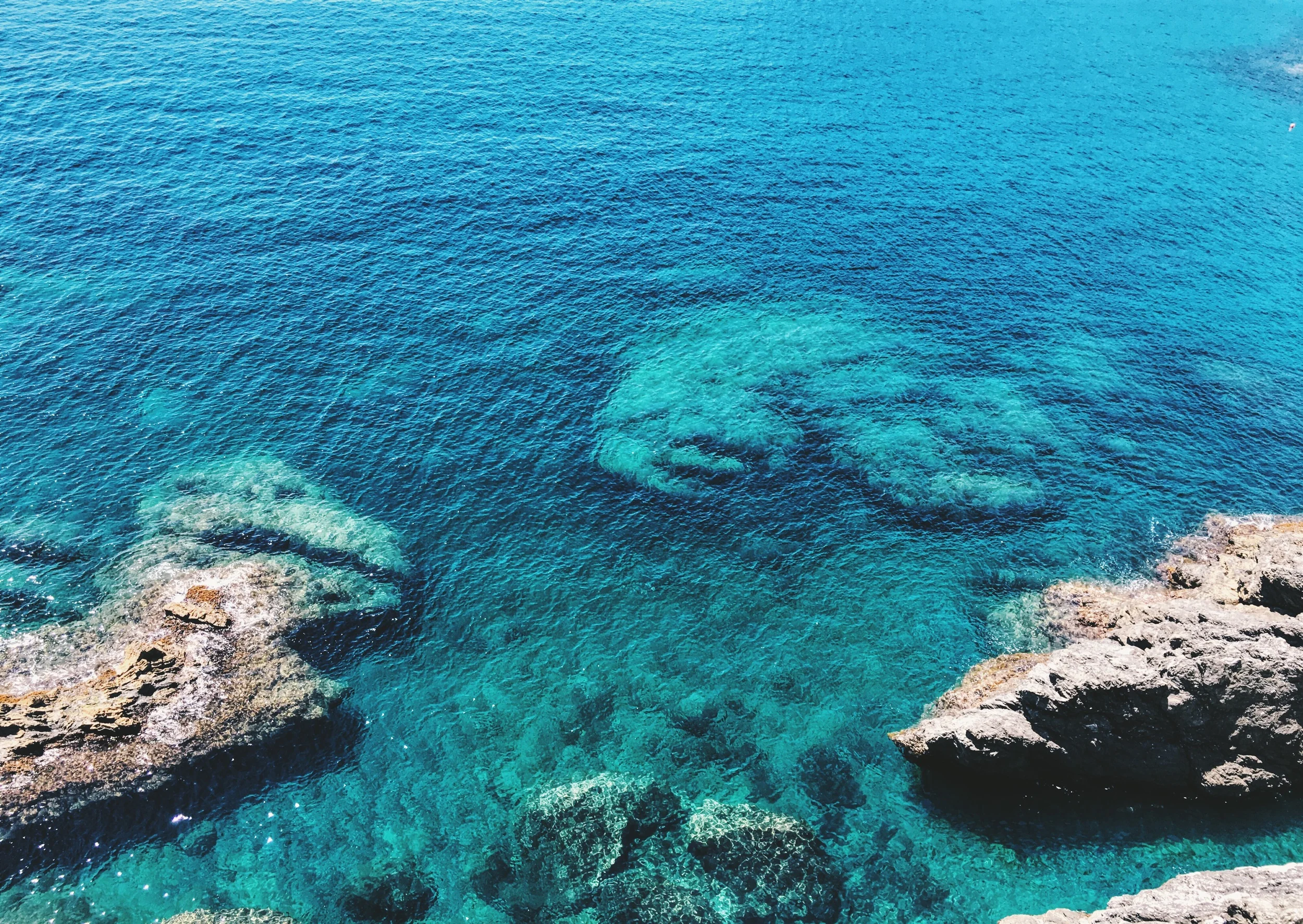 2016-06-23 12.46.00-1.jpg