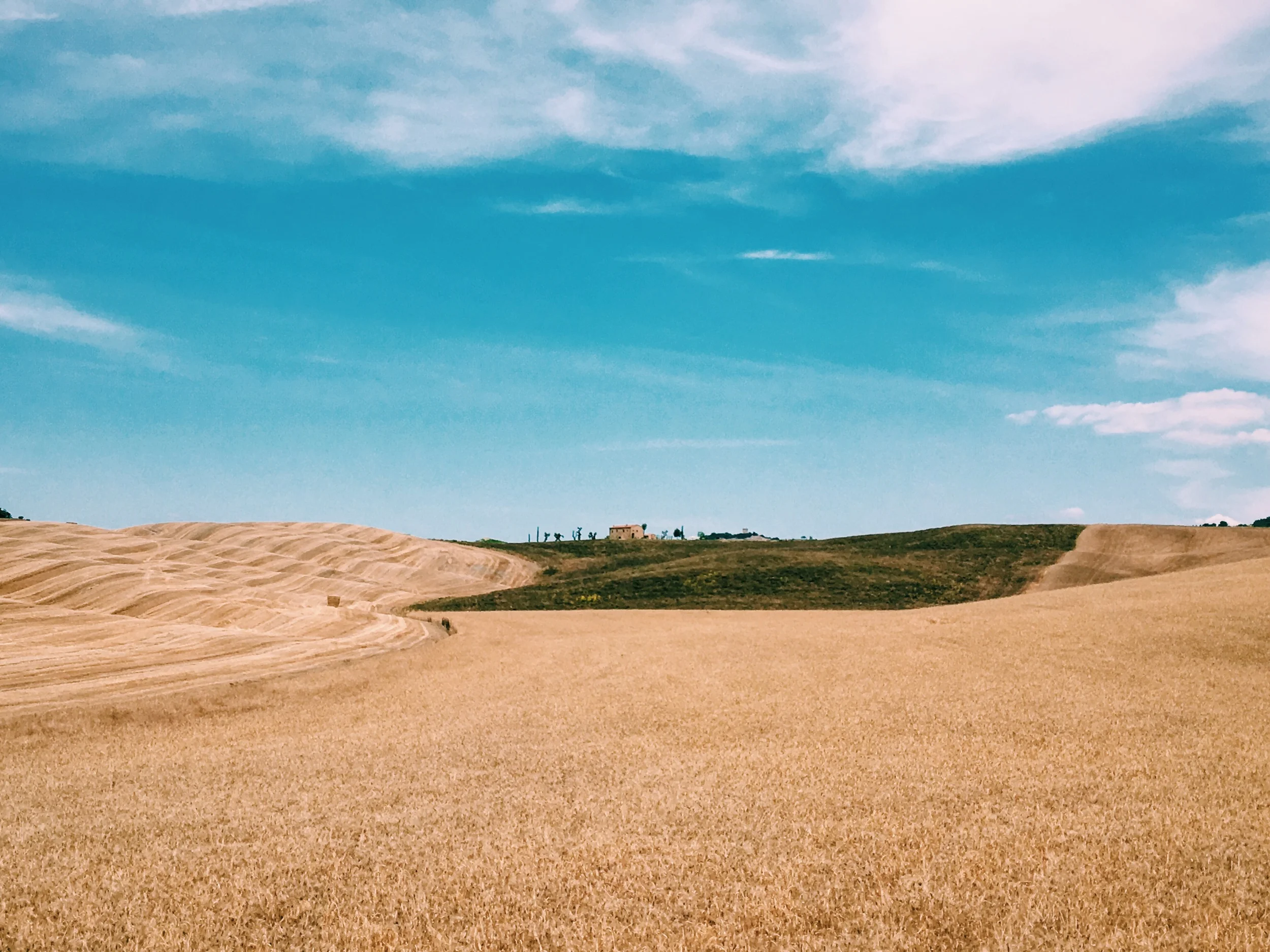 2016-06-29 15.23.04.jpg