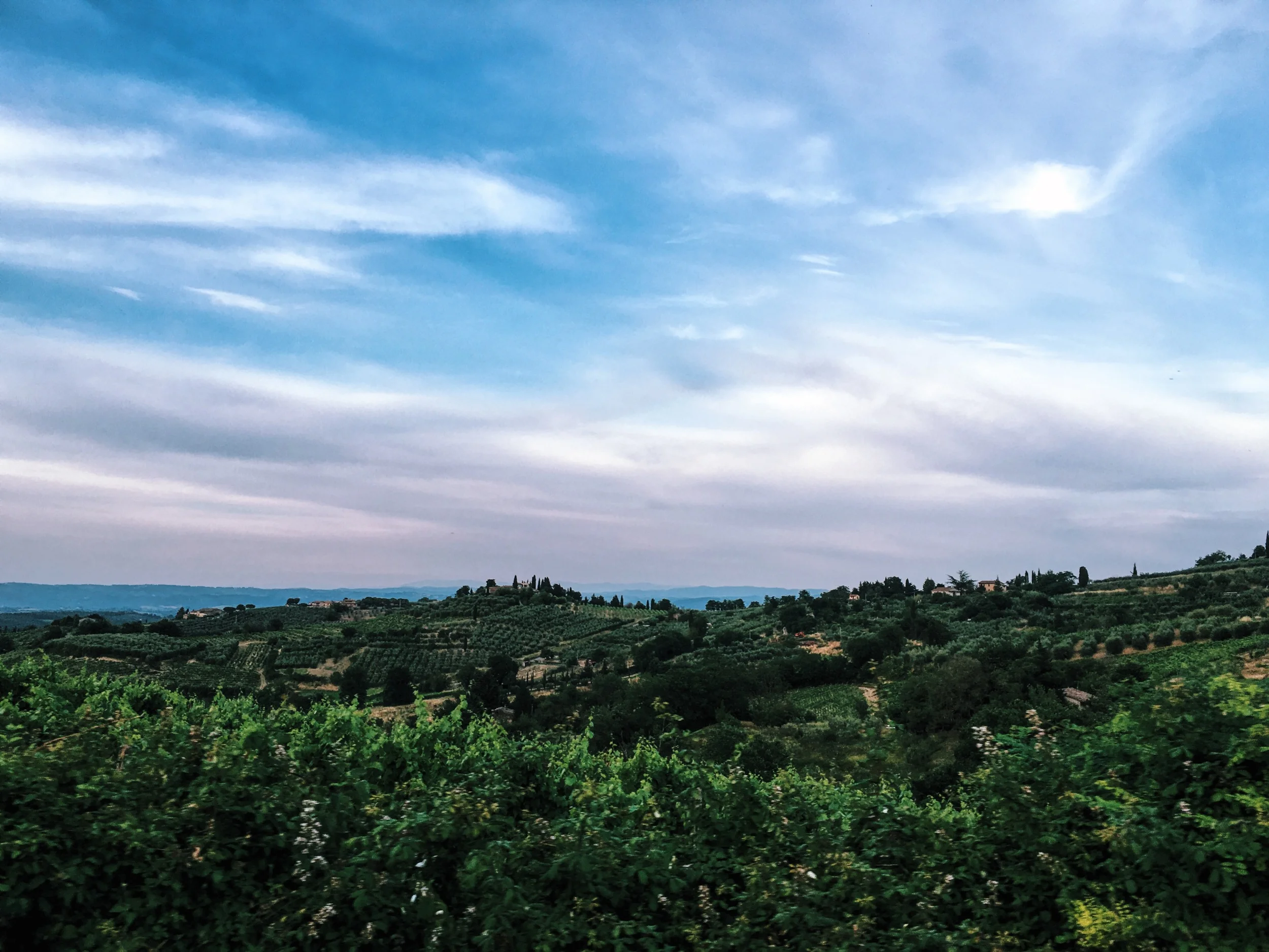 2016-06-29 19.40.49.jpg