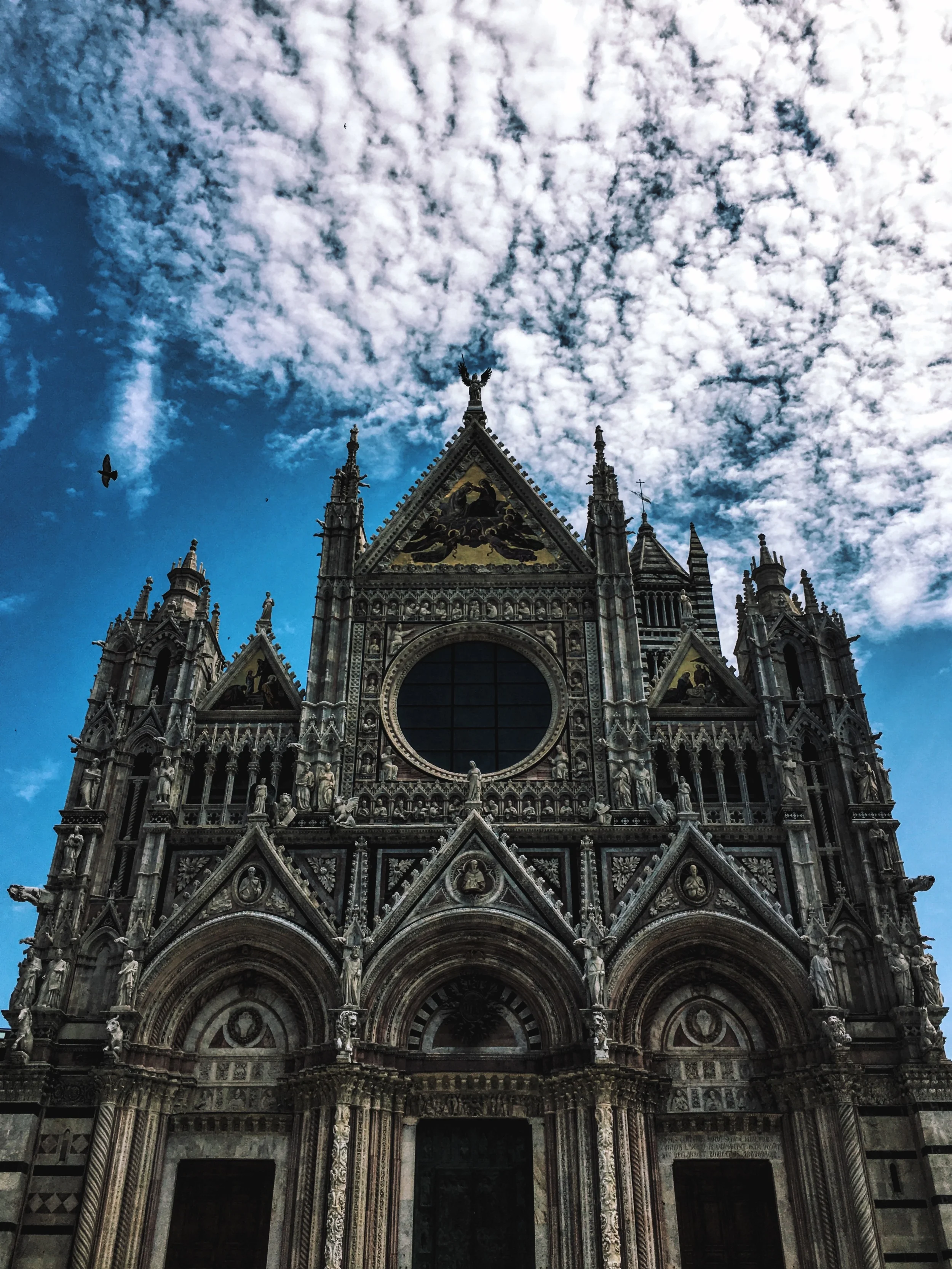 2016-06-30 11.03.21-1.jpg