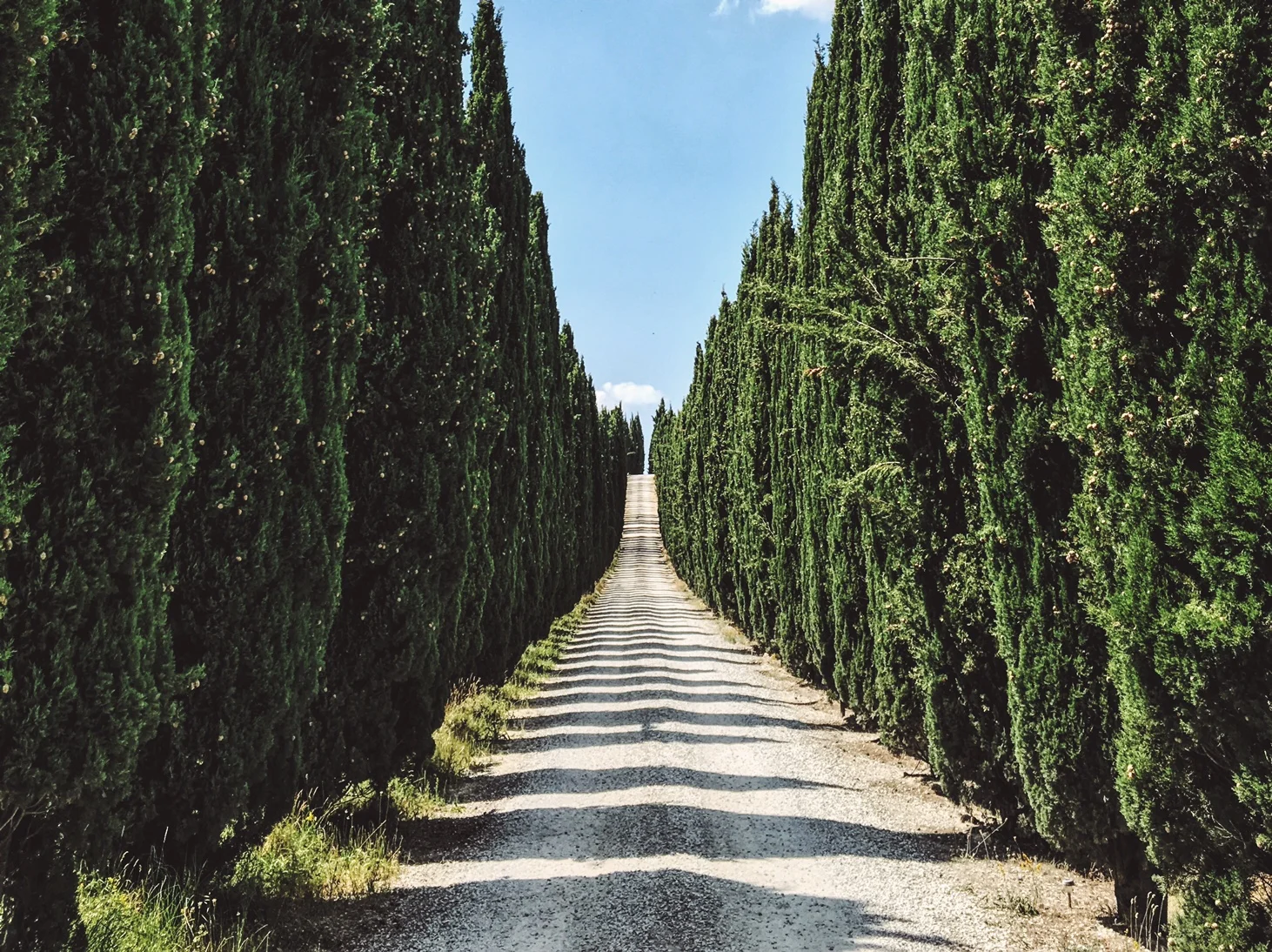 vsco-photo-3 (1).jpg