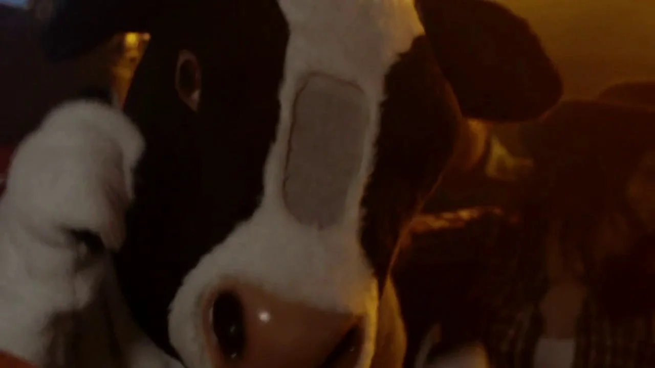 NASHVILLE_TOCA NA SONY