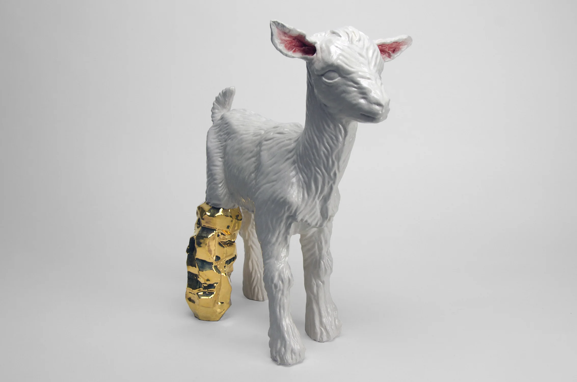 The Lost Camp-OKUWIN.jpg