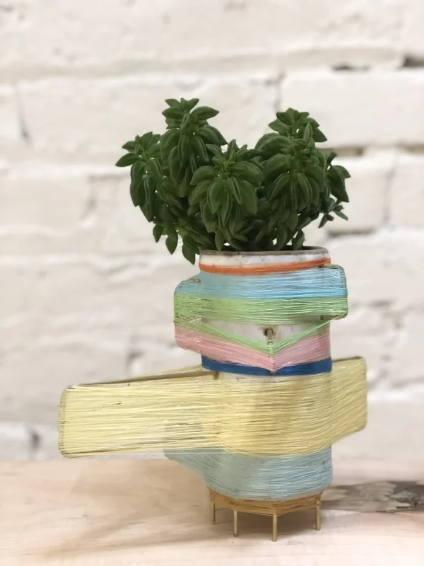 This is Janet. Ceramic, brass, colored thread, succulent. 9.5" x 8" x 6" $800. Water lightly every other week.