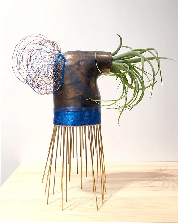 This is Tish. Ceramic, brass wire, thread, tillandsia. 17.5" x 13" x 7". $2300. Spray plant with water twice per week.