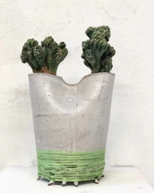 This is Zooey. Ceramic. cactus, thread. 12" x 8" x 4". $1200. Water once every 2 weeks lightly. SOLD