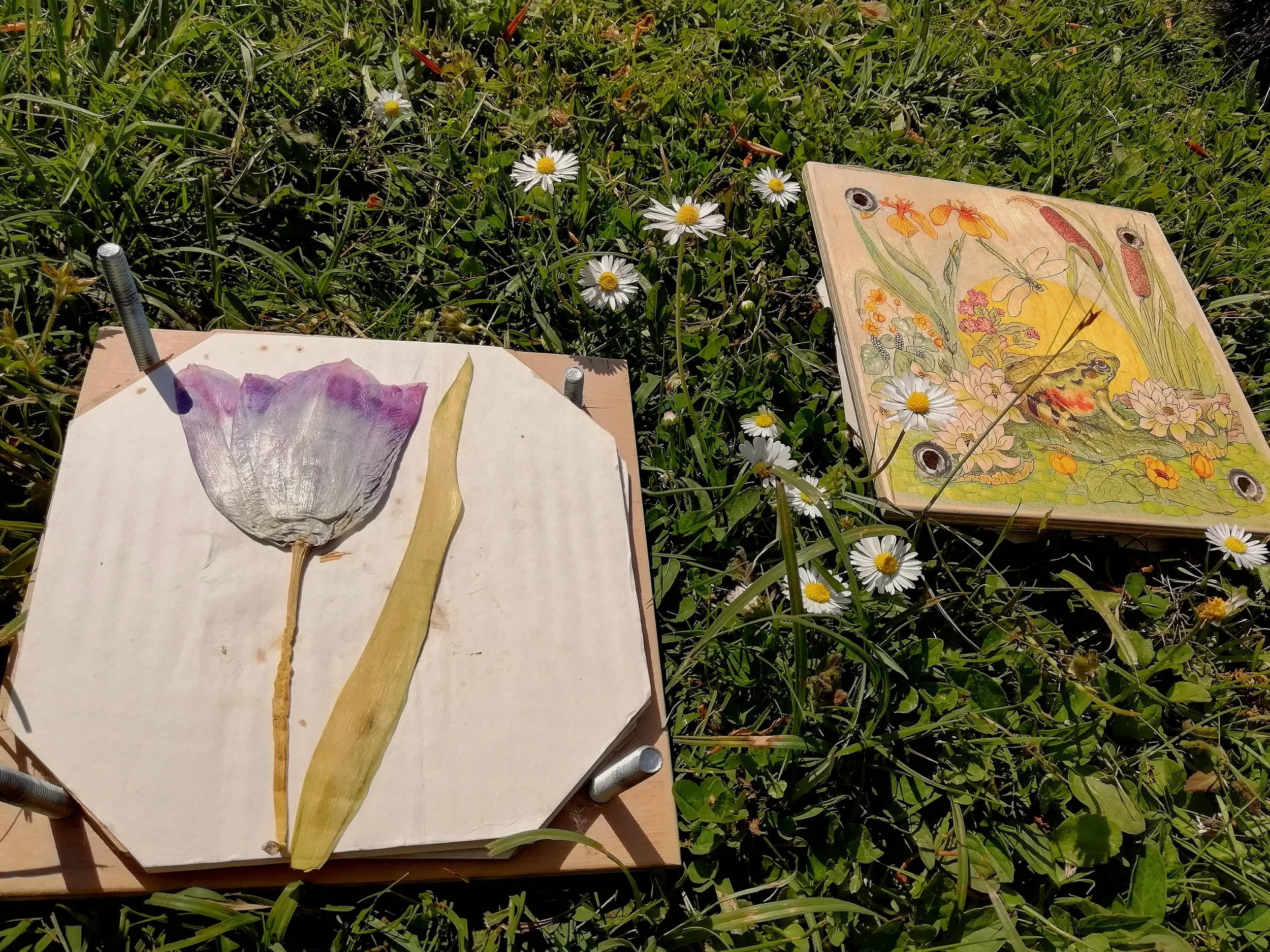 Flower Pressing.jpg