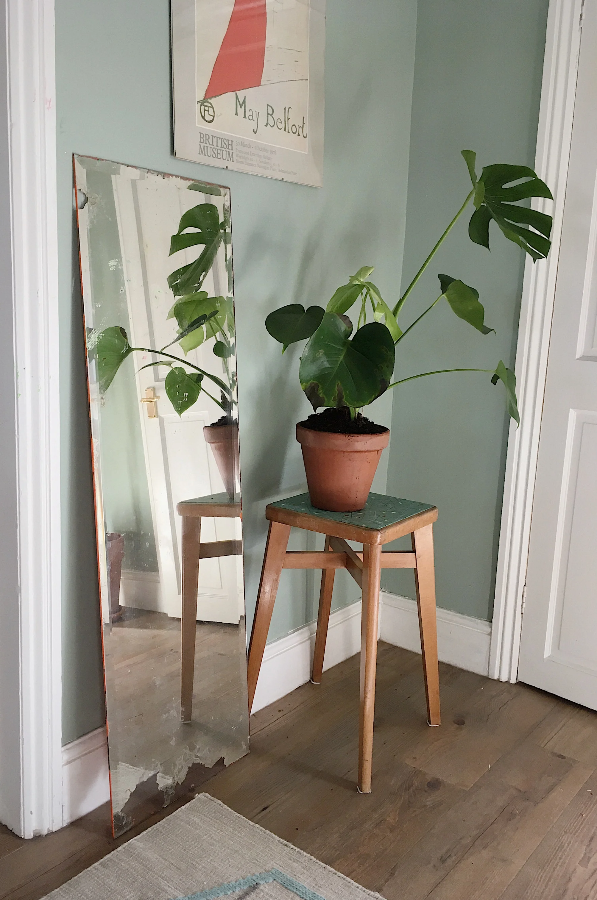 Botanica Studio.jpg