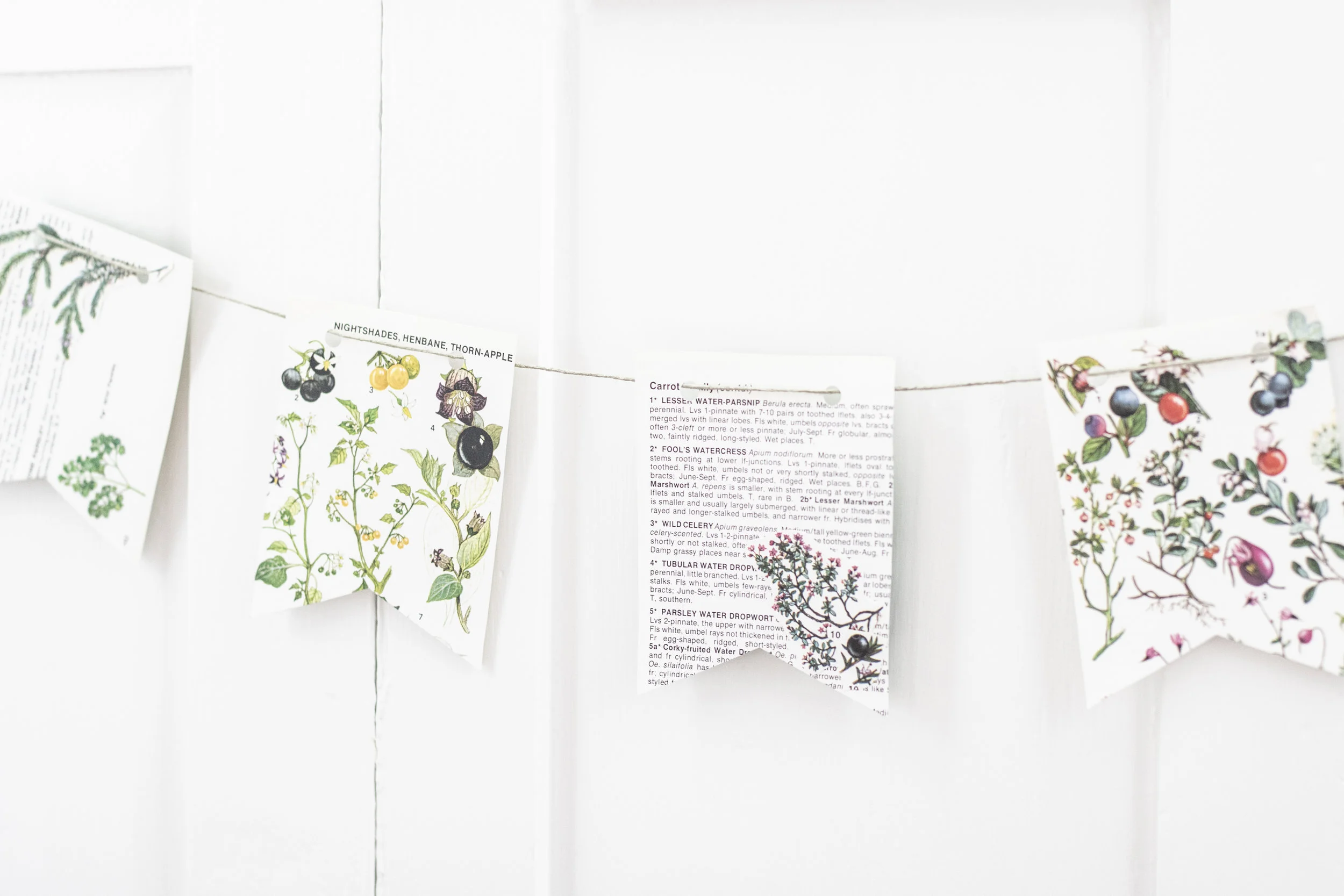 Paper Bunting.jpg