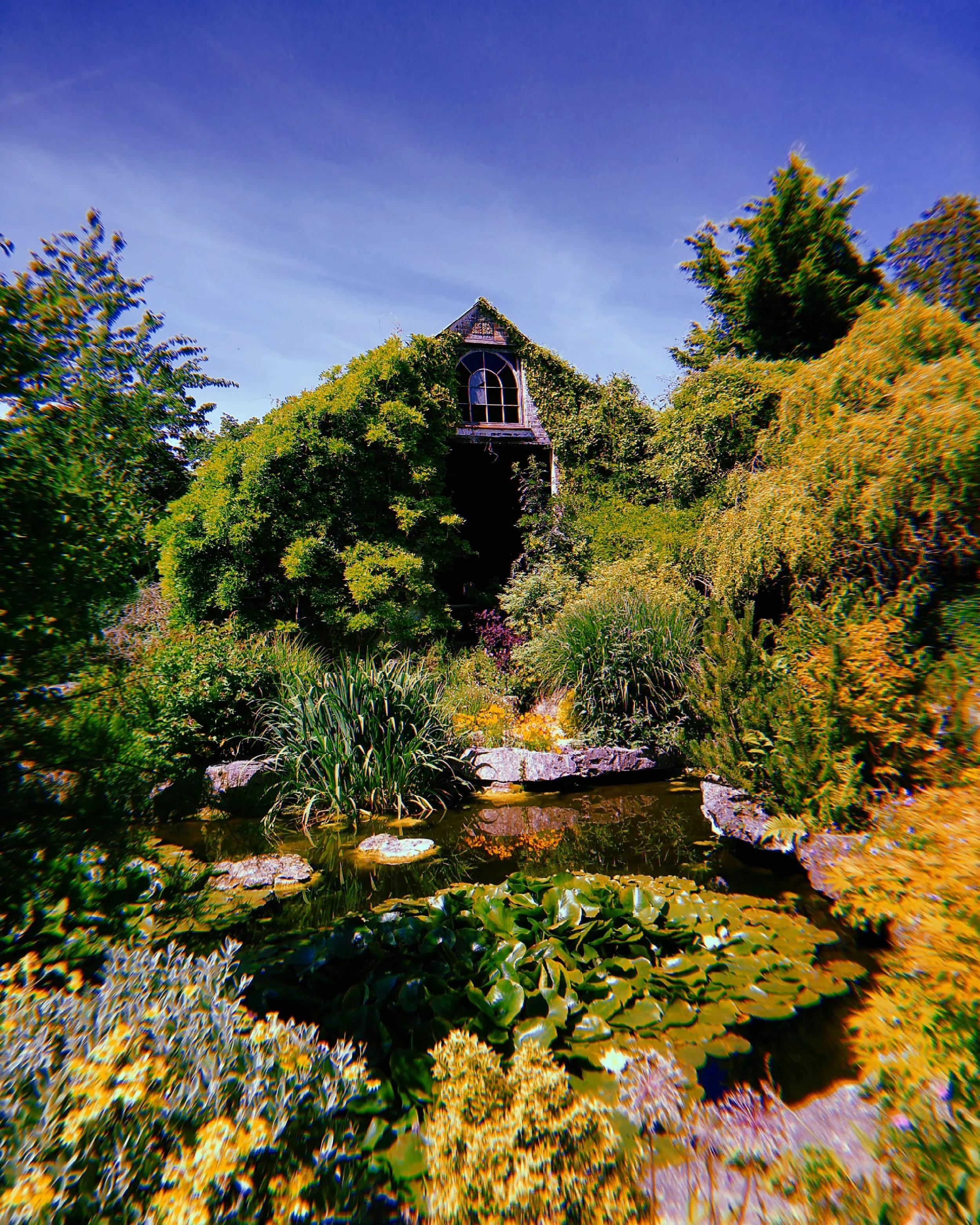 Dewstow Gardens.jpg