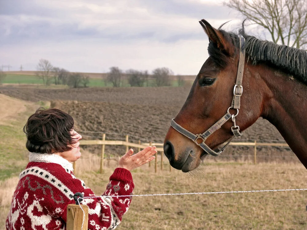 EALC+Talking+to+Horse.jpg
