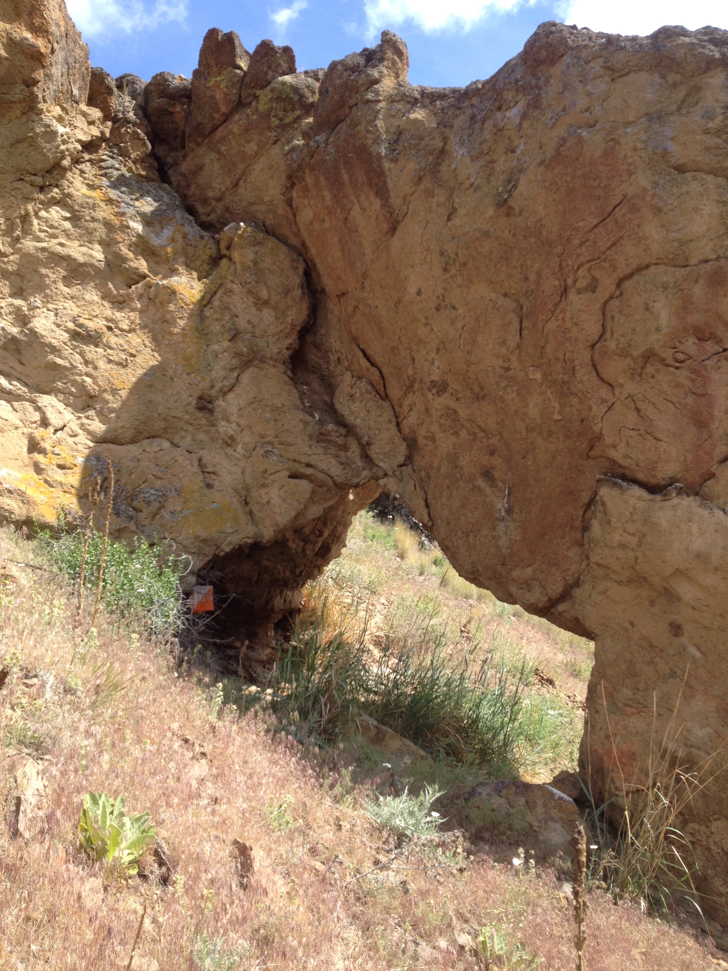  Control flag in a natural arch, Big Muddy Rogaine, central Oregon. 