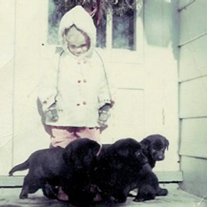   I have always loved dogs.  