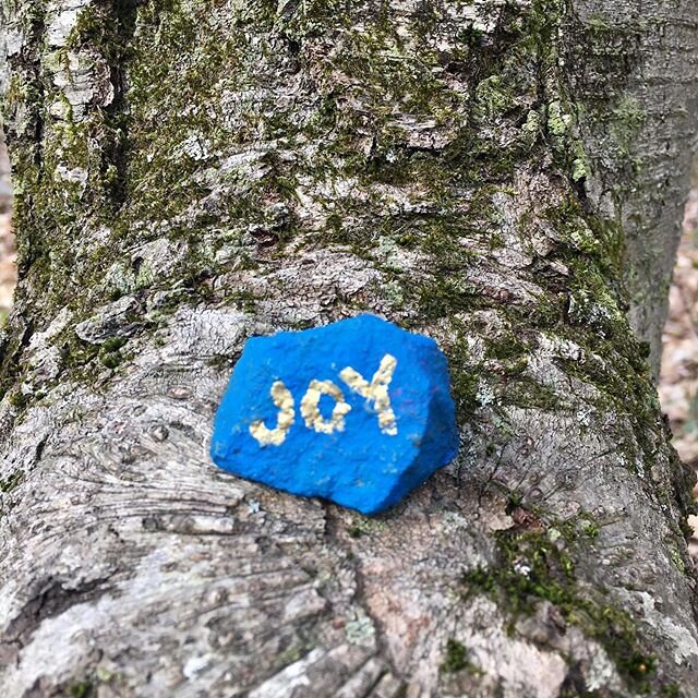 More treasures from the woods. Thank you, rock painter!
