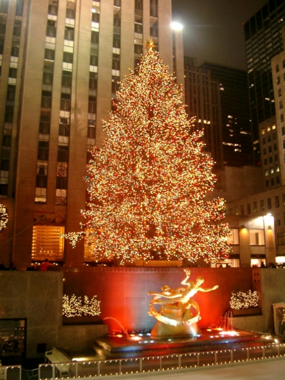  New York celebrates Prophet Jesus' birthday