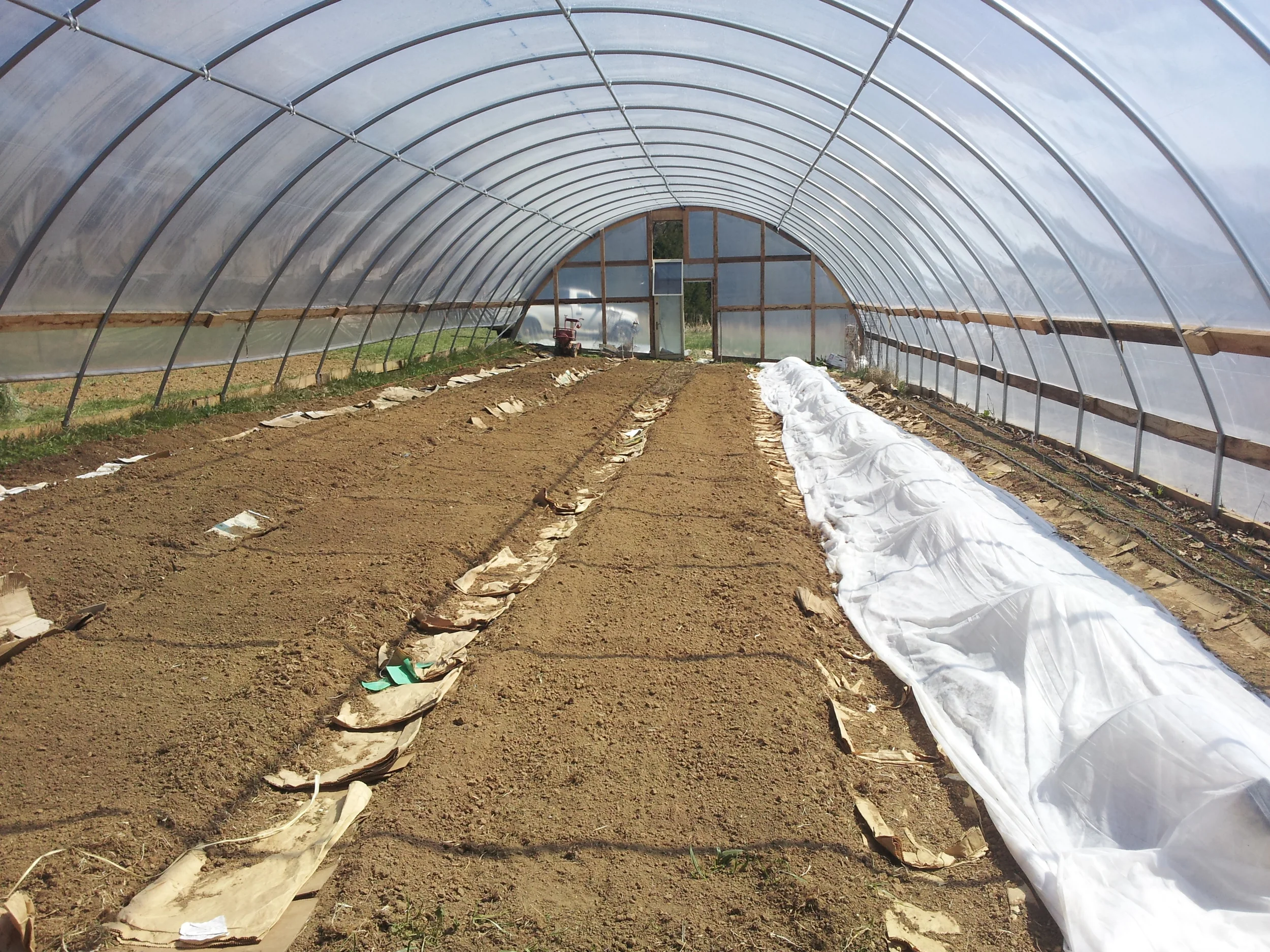 greenhouse.jpg