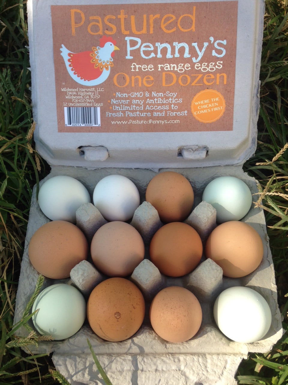 Egg Photo.jpg