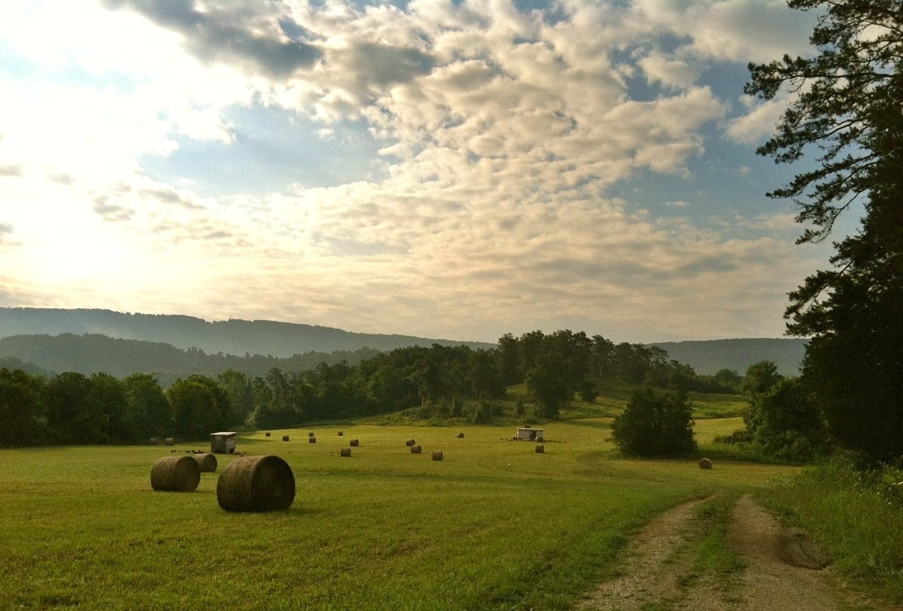 Pasture.jpg
