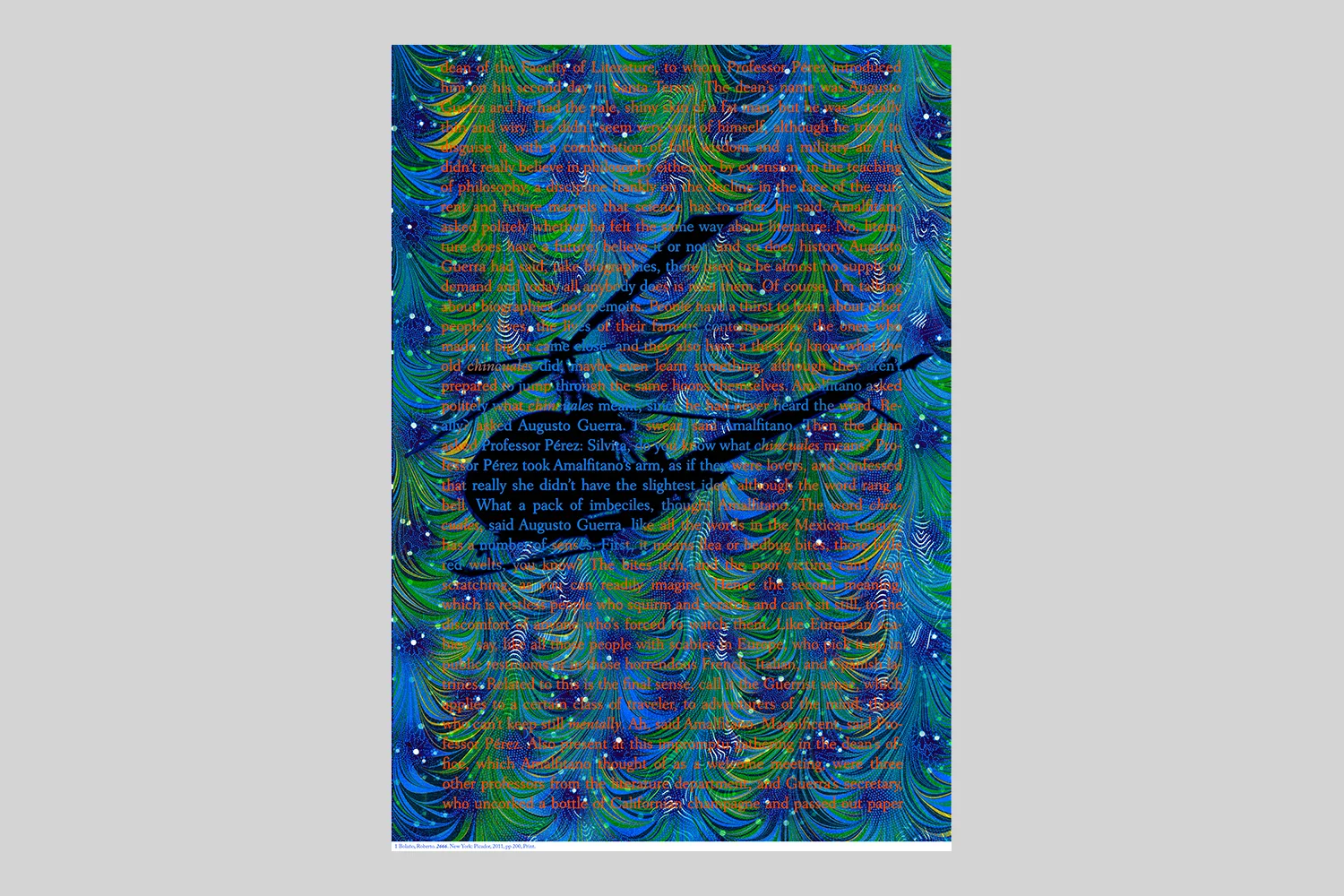 bolano web.jpg