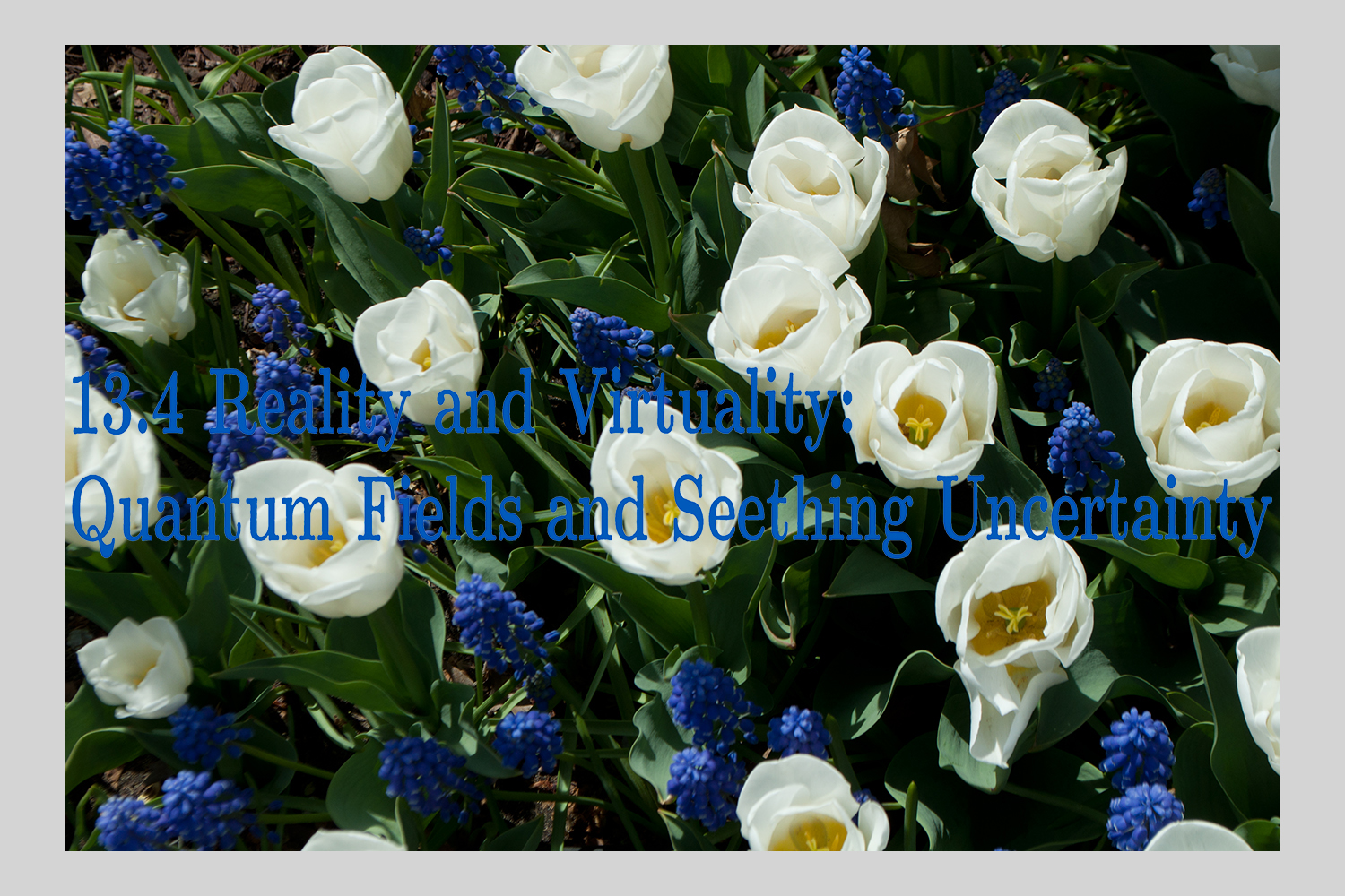 seething flowers.jpg