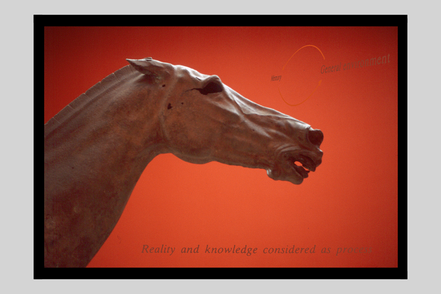physics horse.jpg