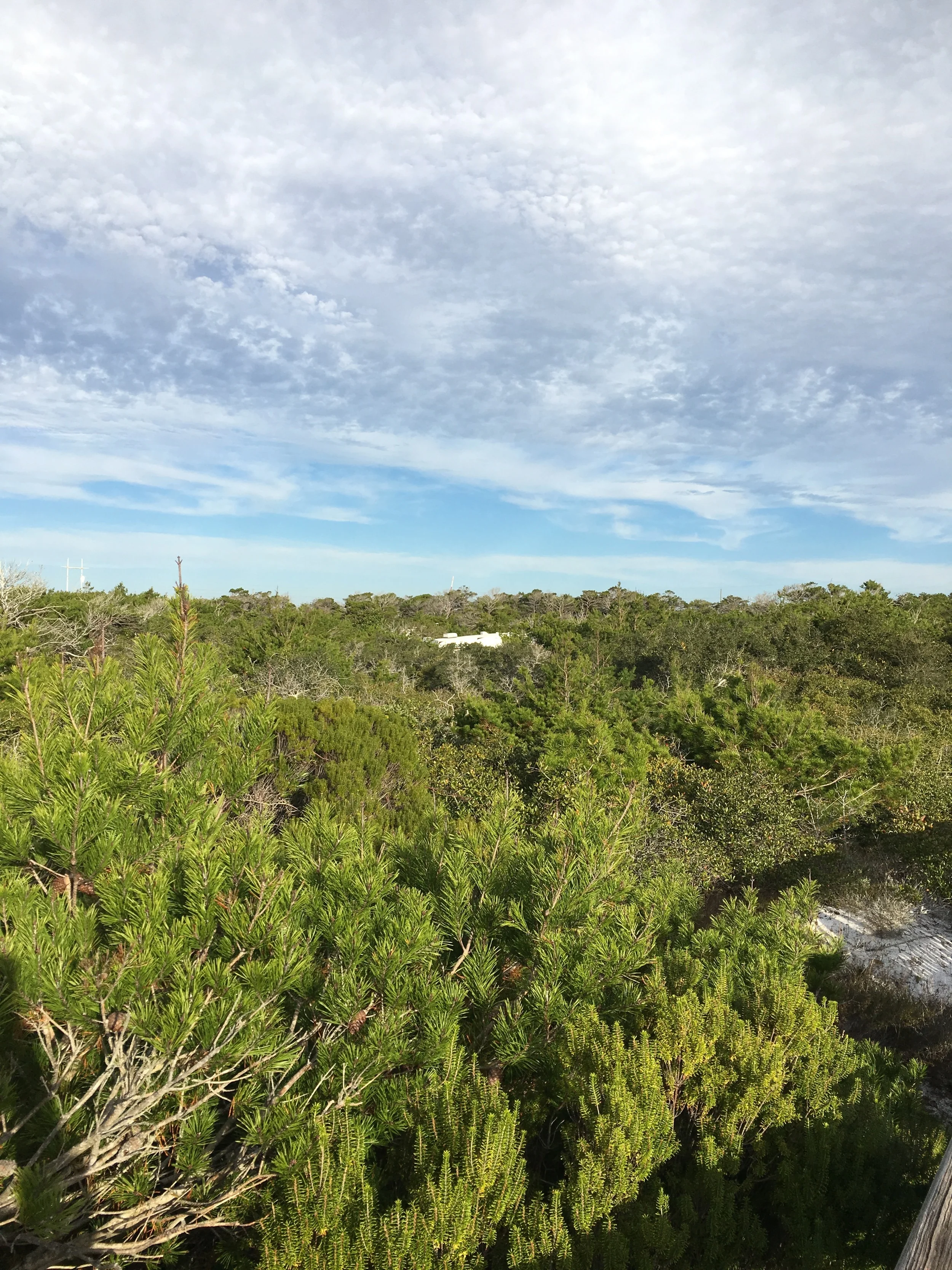 One of the campsites surrounded by mother nature