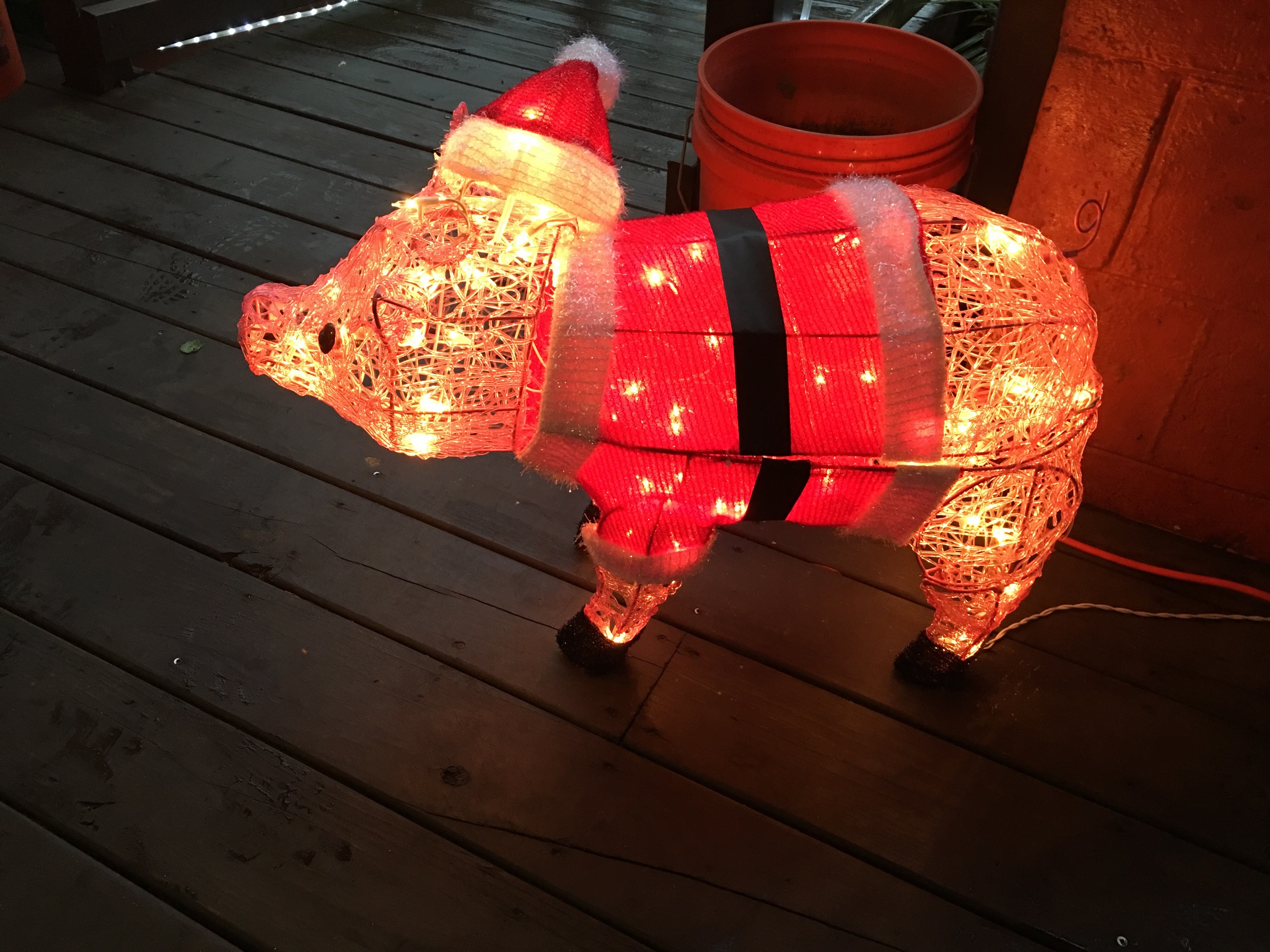 Holiday Hog